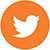 social twitter